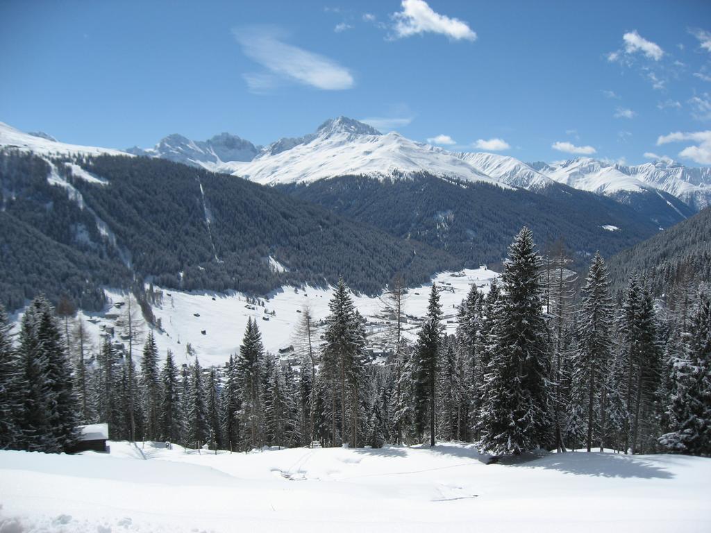 New Renovated Apartment In Center Of Davos Eksteriør bilde