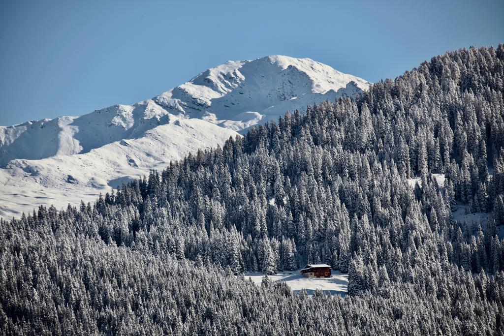 New Renovated Apartment In Center Of Davos Eksteriør bilde